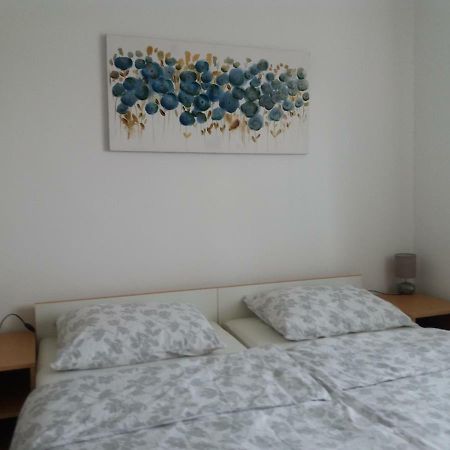 Apartment Hinic Vrhovine Extérieur photo