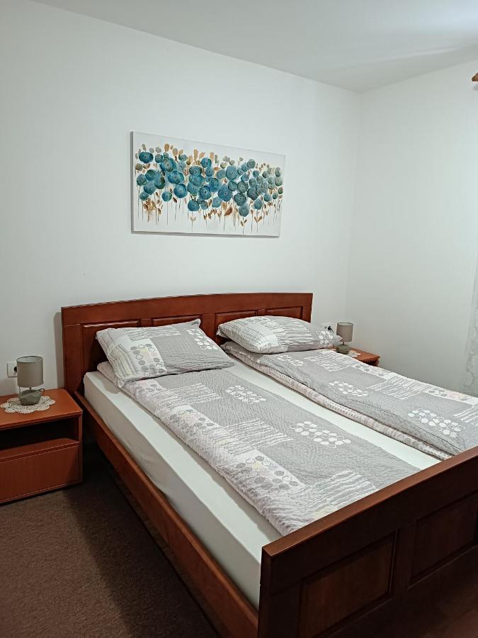 Apartment Hinic Vrhovine Extérieur photo
